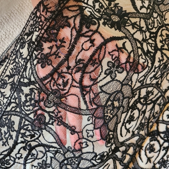 Tadashi Shoji Lacey Rayon Lined Sleeveless Sz. 12 Dress - Picture 5 of 11